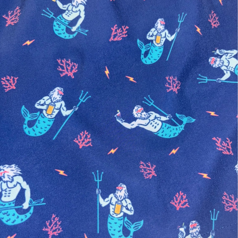 Chubbies Swim Trunks NWT - Picture 9 of 10